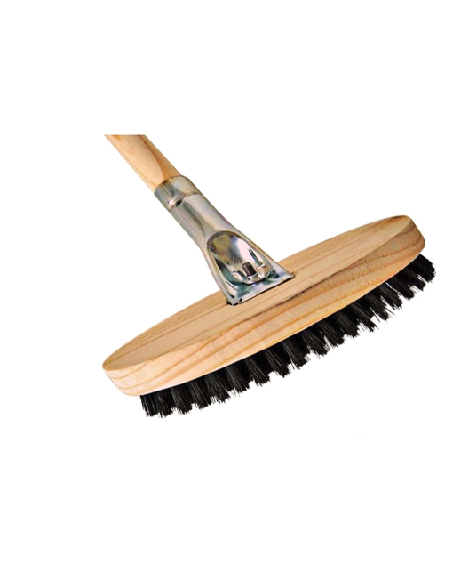 Body Brush With Grip Handle